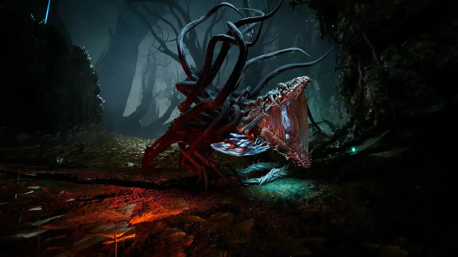 Feature Image