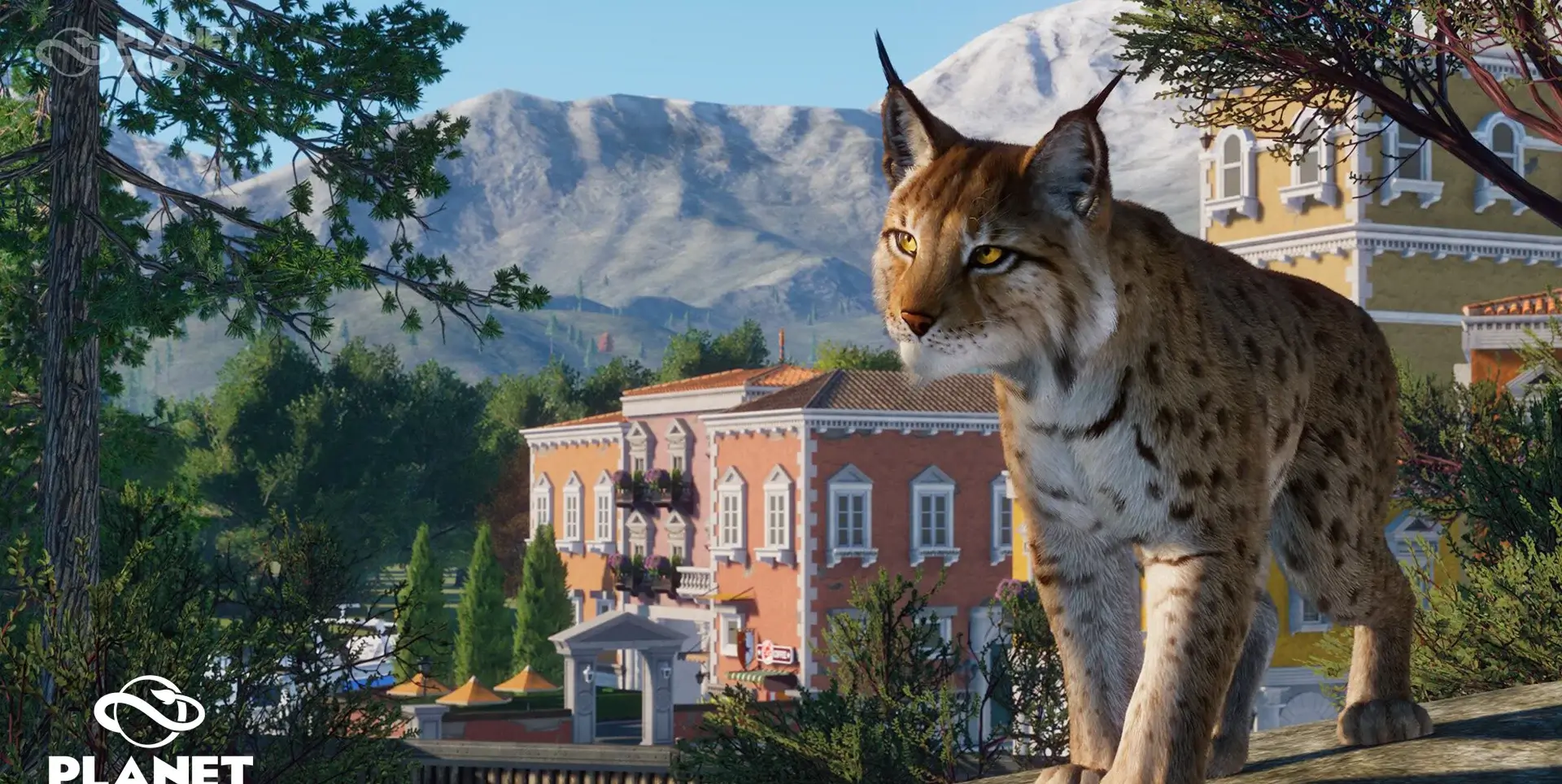 Banner Image