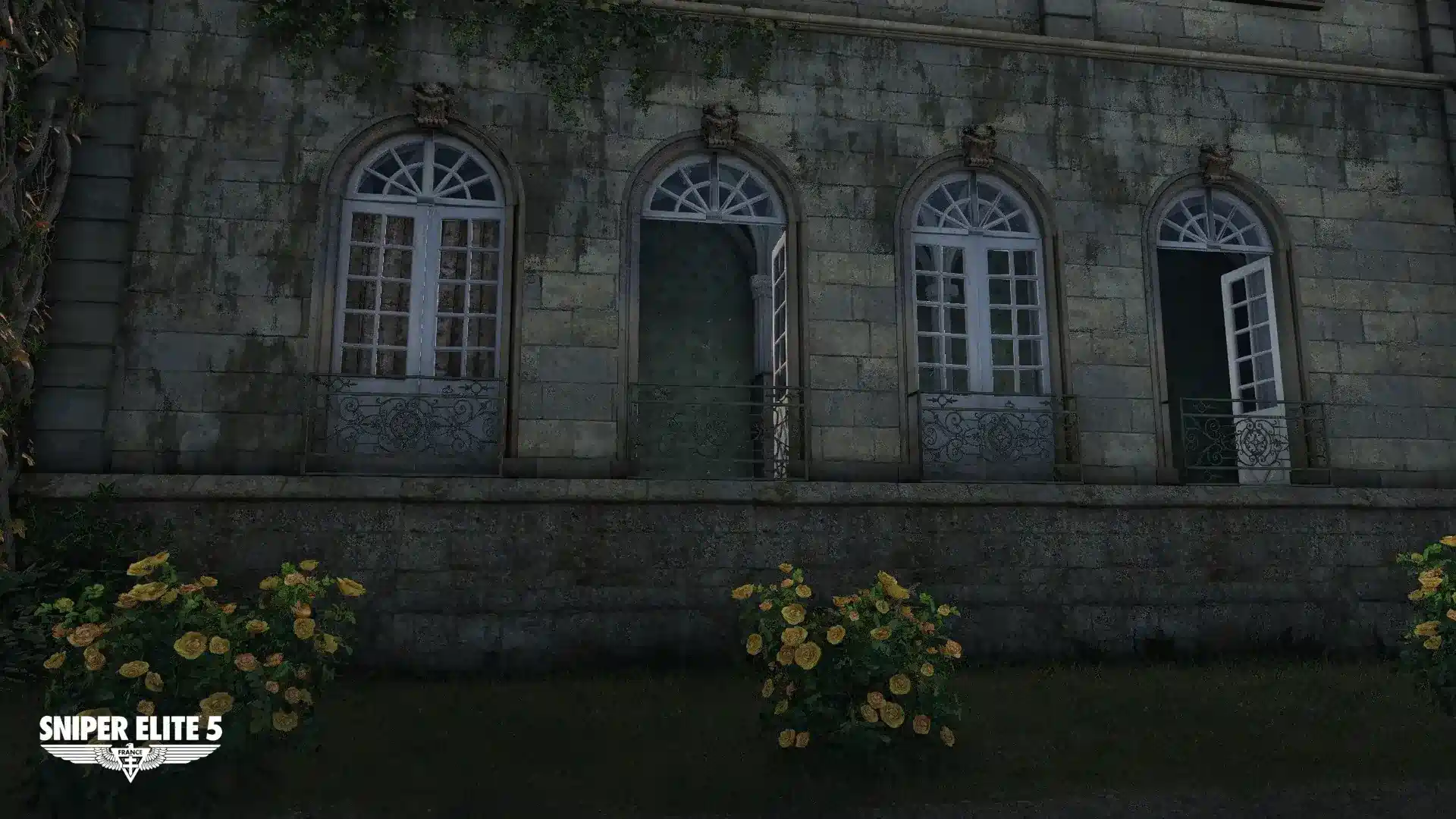 Feature Image